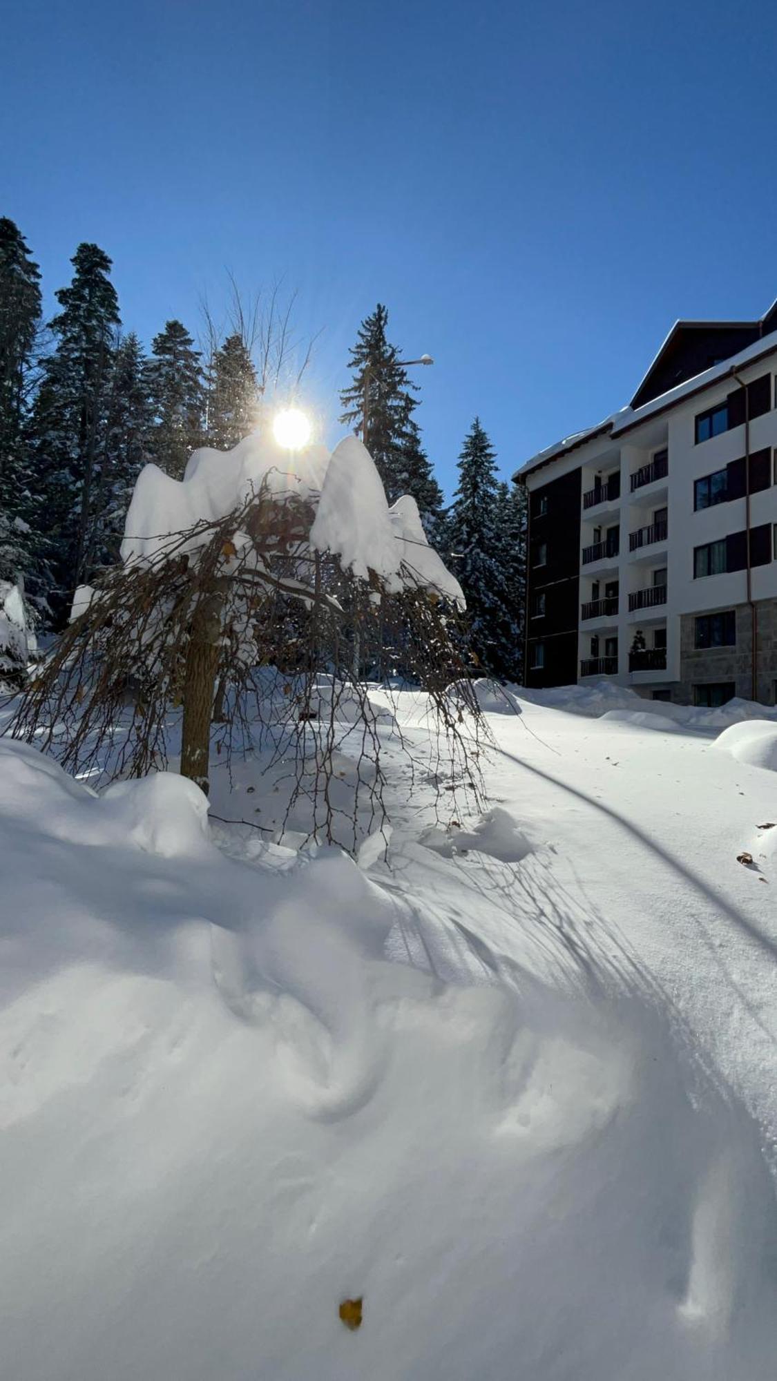 Borovets Gardens B21 Morunov Apart ภายนอก รูปภาพ