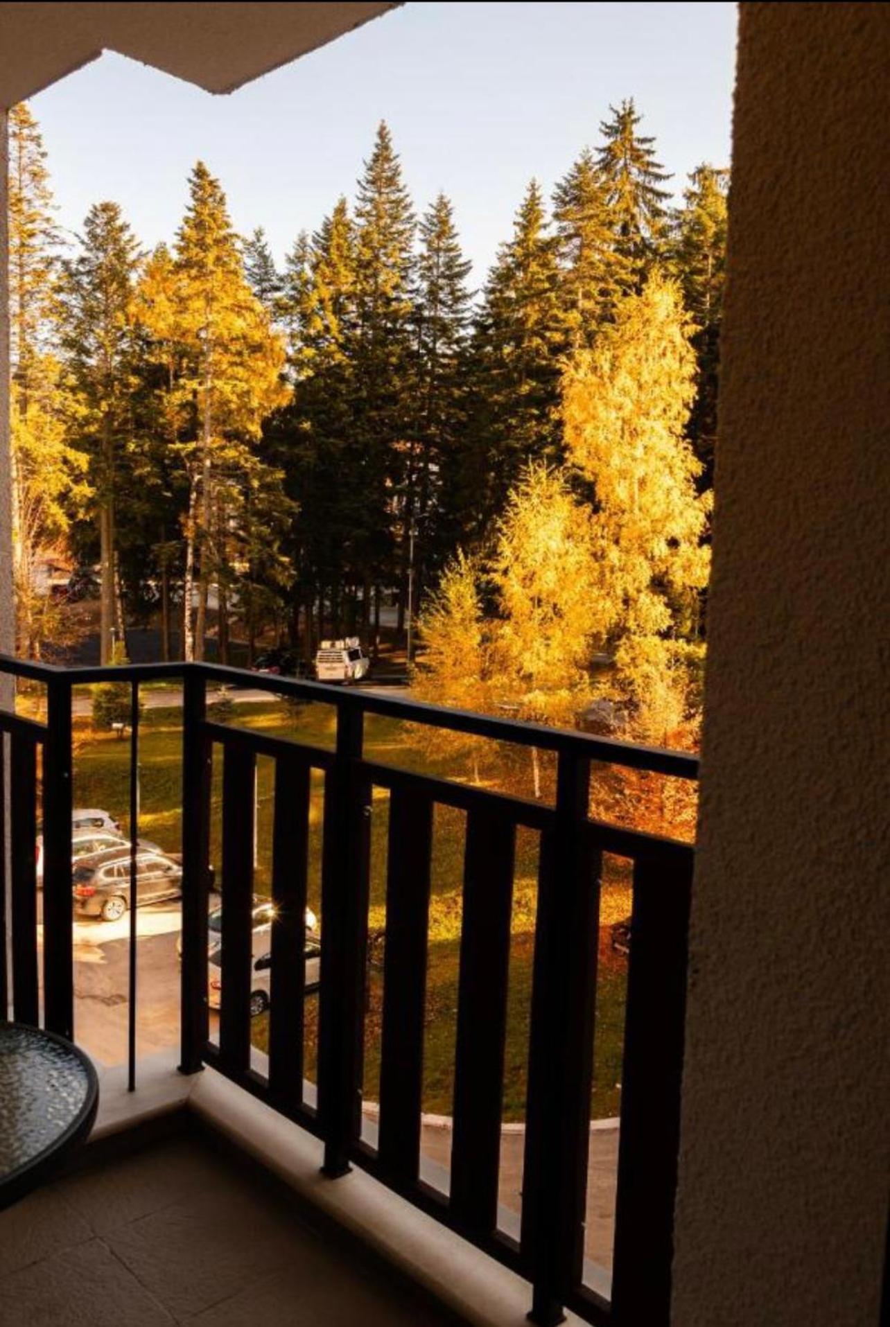 Borovets Gardens B21 Morunov Apart ภายนอก รูปภาพ